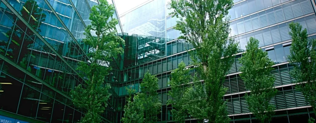 Professional Tree Removal NYC