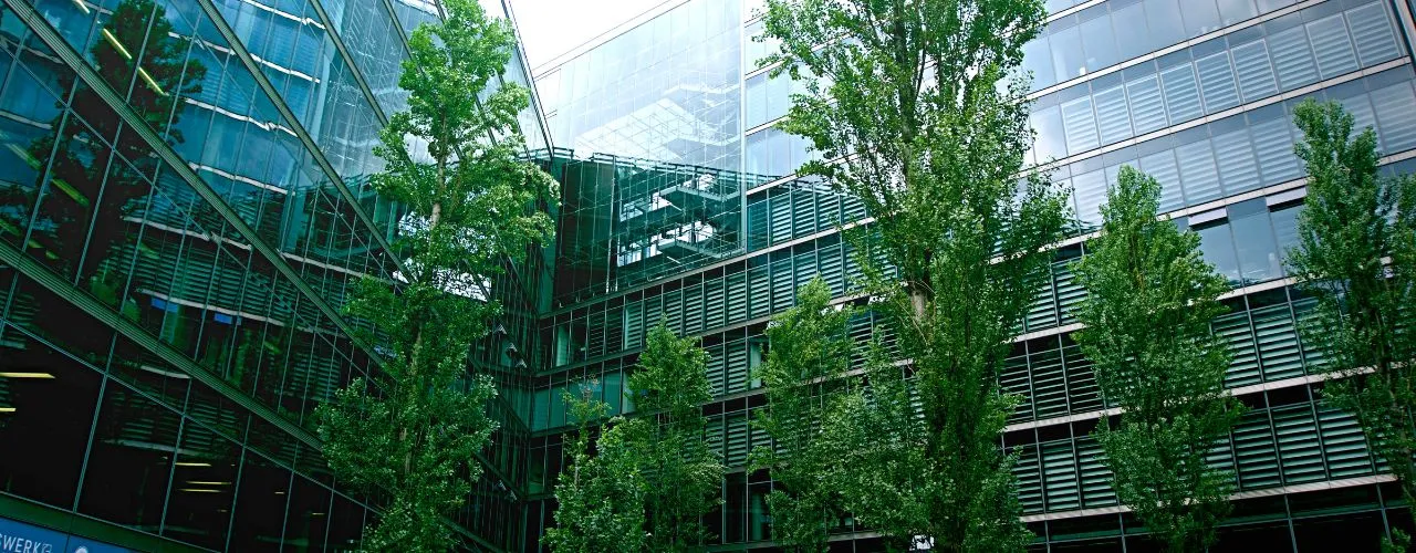 Professional Tree Removal NYC