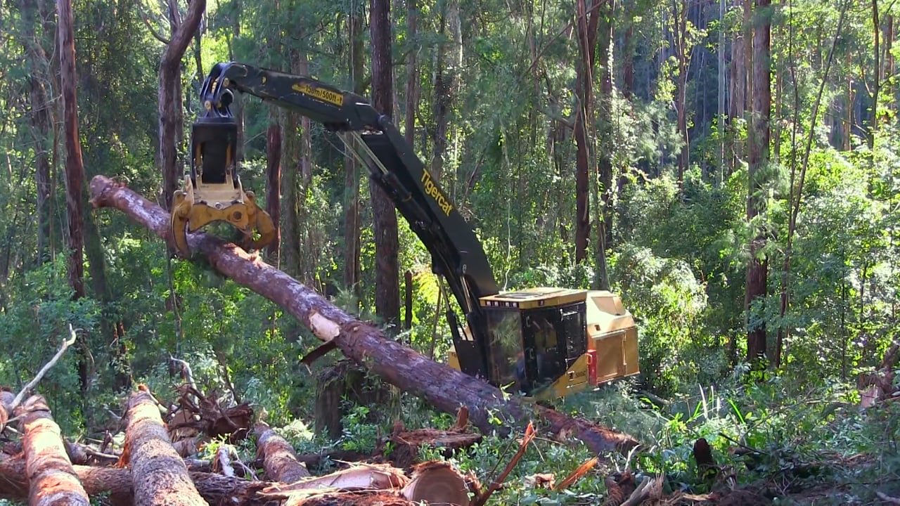 Complete Tree Services
