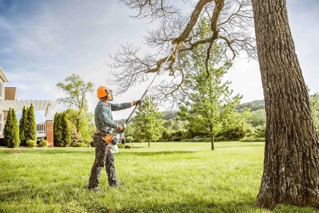 Tree Services Are Essential