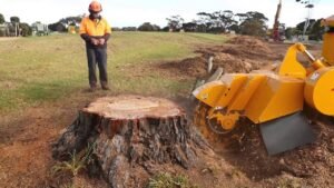 Tree Stump Removal