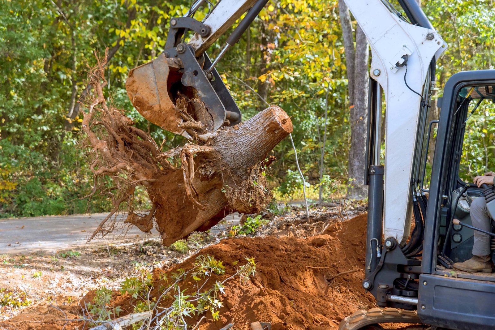 Tree Stump Removal